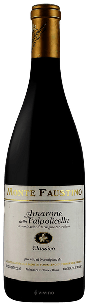Monte Faustino Amarone della Valpolicella Classico 2013