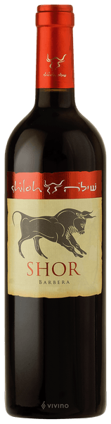 Shiloh Shor Barbera 2019