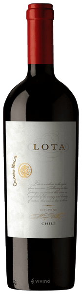 Cousi?o-Macul Lota 2017