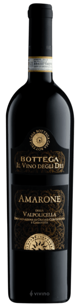 Bottega Amarone della Valpolicella Il Vino Degli Dei 2016