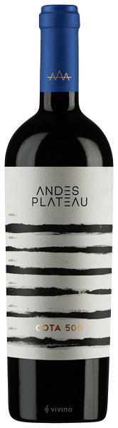 Andes Plateau Cota 500 2020