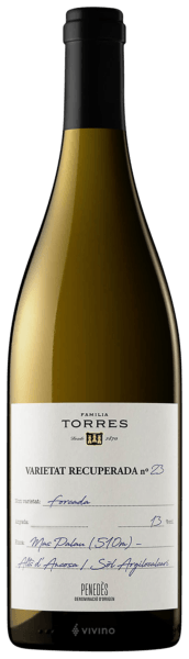 Familia Torres Forcada 2016