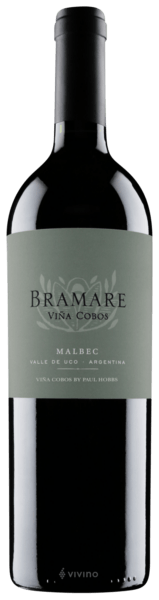 Vi?a Cobos Bramare Malbec Uco Valley 2019